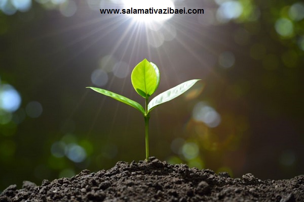 با پلاسنتا باریزش موهایتان خداحافظی کنید