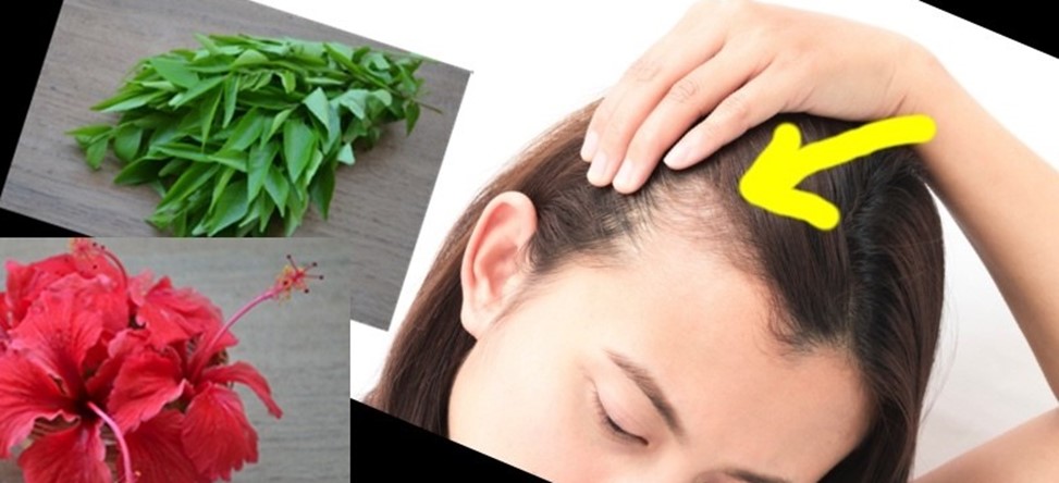 فواید چای هیبیسکوس برای سلامتی و طرز تهیه چای هیبیسکوس